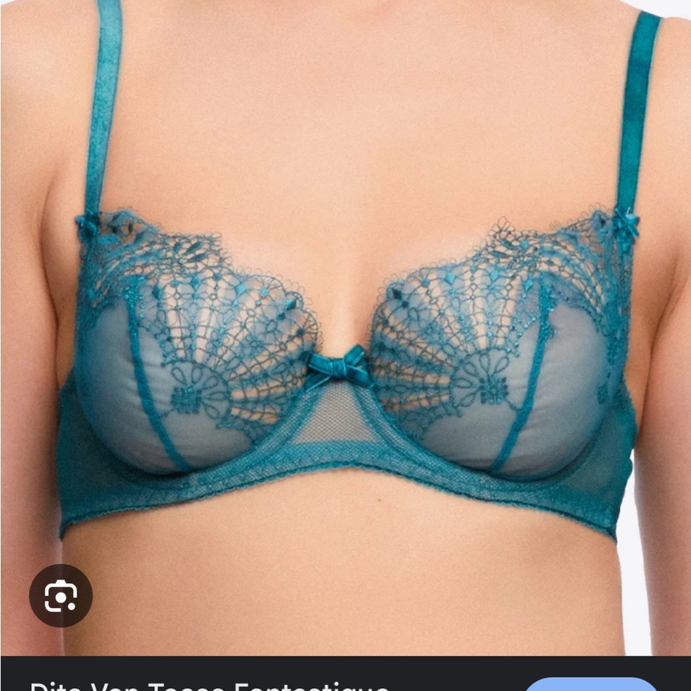 Blue Embroidered Sheer Mesh Bra